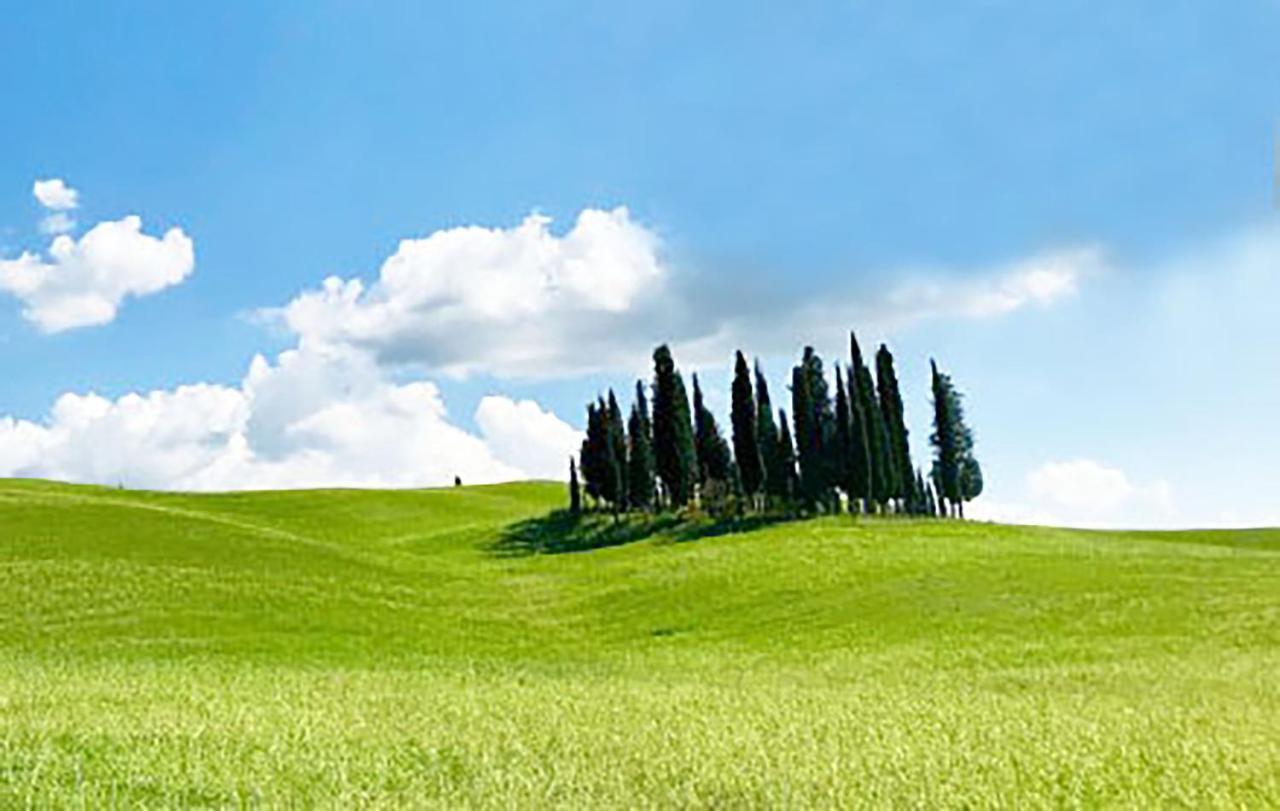 Appartement La Casa Nel Poggio 247 Vicino A Siena à Ponte a Tressa Extérieur photo