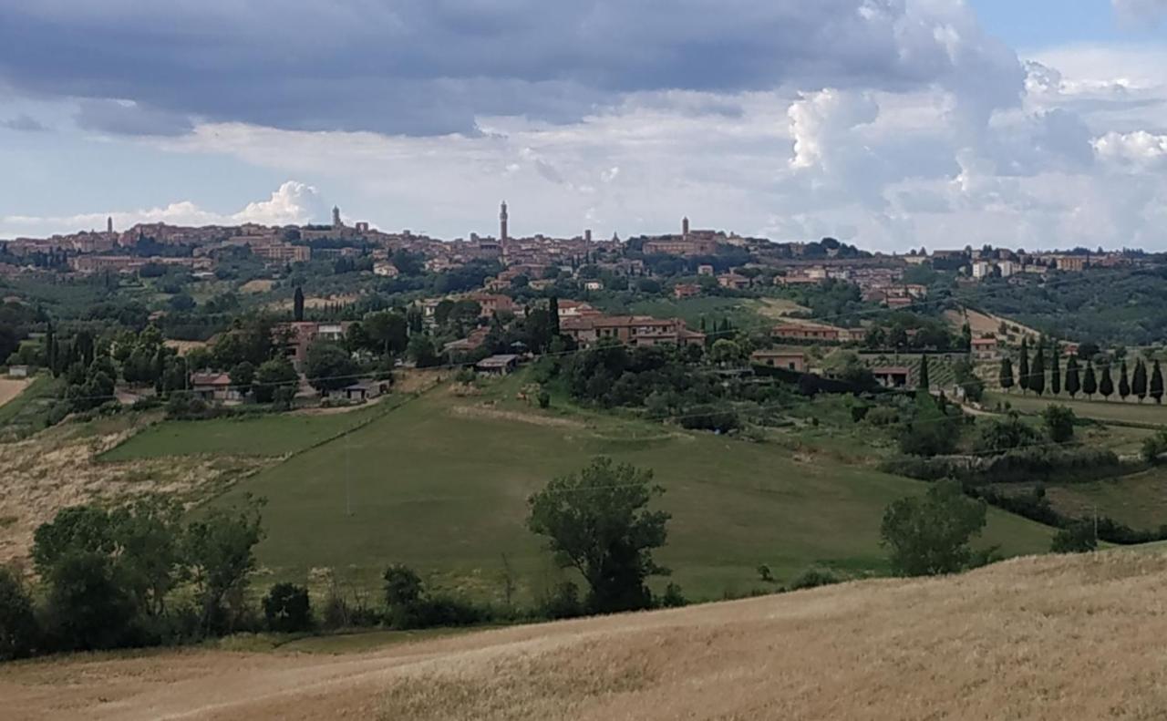 Appartement La Casa Nel Poggio 247 Vicino A Siena à Ponte a Tressa Extérieur photo